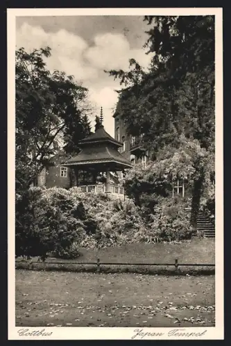AK Cottbus, Japanischer Tempel