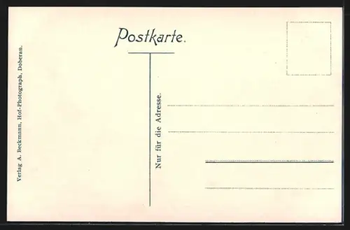 AK Heiligendamm, Hohenzollernburg, grossherzogliche Villen