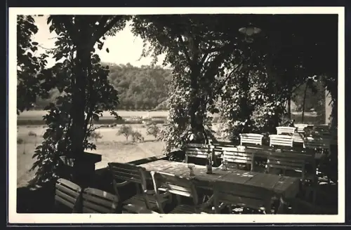 AK Meissen-Spaar, Stadtweingut, Gaststätte Weinstuben-Kapitelberg, Aussenansicht der Terrasse