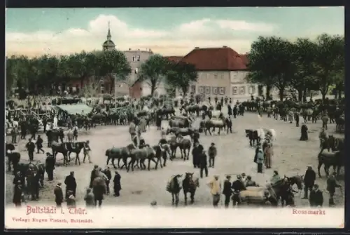 AK Buttstädt i. Thür., Rossmarkt