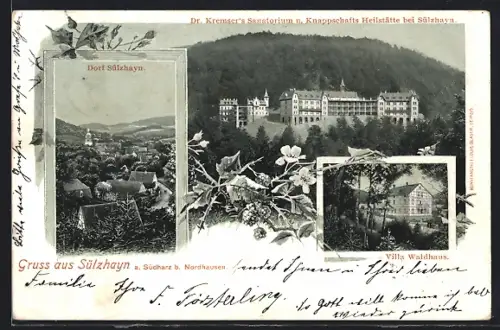 AK Sülzhayn a. Südharz bei Nordhausen, Villa Waldhaus, Dr. Kramser`s Sanatorium und Knappschafts Heilstätte, Dorfansicht