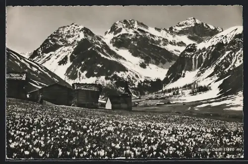 AK Sertig-Dörfli, Panorama mit blühender Wiese und Gebirgshintergrund