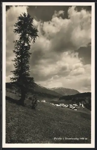 AK Feldis i. Domleschg, Ortspanorama