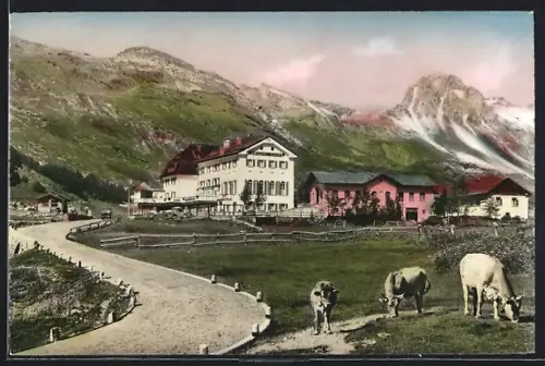 AK Maloja, Kulm-Hotel mit Kühen auf der Weide