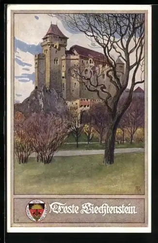 AK Deutscher Schulverein Nr.164: Feste Liechtenstein, Motiv der Burg