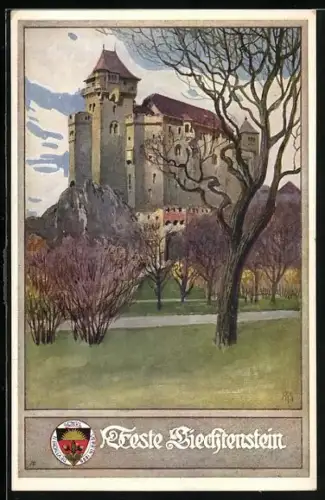 AK Deutscher Schulverein Nr.164: Feste Liechtenstein, Motiv der Burg