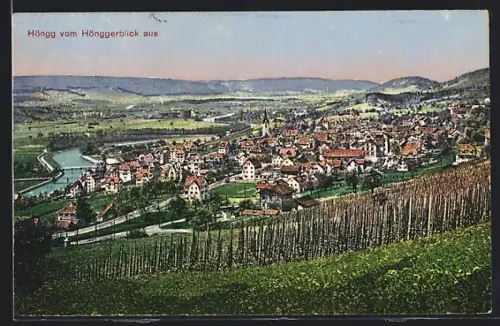 AK Höngg, Teilansicht vom Hönggerblick aus