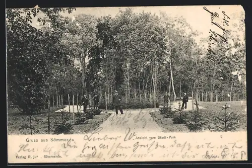 AK Sömmerda, Ansicht vom Stadtpark
