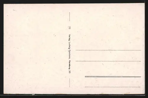 AK Hamburg-Neustadt, Blick auf Neuen Jungfernstieg mit Lombardsbrücke