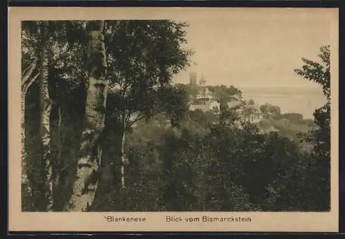 AK Hamburg-Blankenese, Blick vom Bismarckstein