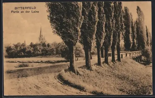 AK Bitterfeld, Partie an der Leine