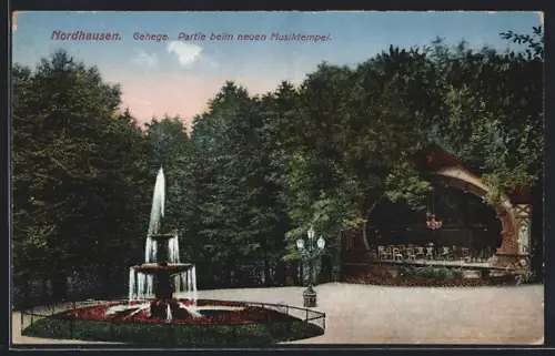 AK Nordhausen, Gehege, Partie beim neuen Musiktempel