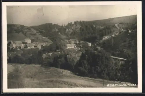 Foto-AK Rübeland /Harz, Teilansicht mit Waldumgebung
