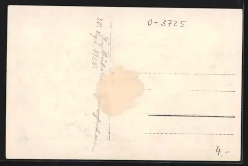 Foto-AK Rübeland /Harz, Teilansicht mit Waldumgebung