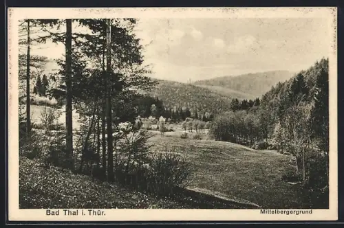 AK Bad Thal i. Thür., Partie am Mittelbergergrund
