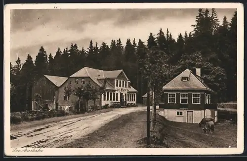 AK Stützerbach, Partie am Gasthof zum Auerhahn