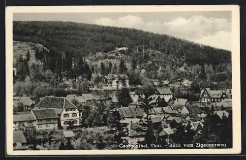 AK Georgenthal /Thür., Ortsansicht vom Zigeunerweg