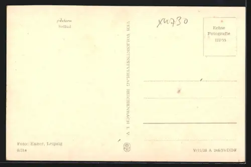 AK Artern, Am Solbad