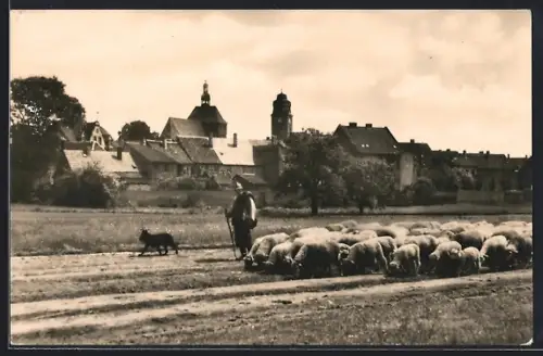 AK Artern, Ortsansicht, Schäfer mit Herde und Hütehund