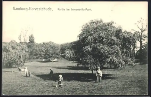 AK Hamburg-Harvestehude, Partie im Innocentia-Park