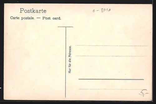 AK Loschwitz, Dampfer Pillnitz passiert Schwebebahn u. Drahtseilbahn