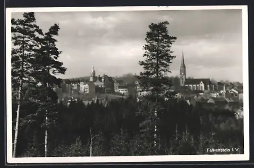 AK Falkenstein i. V., Gesamtansicht vom Wald aus