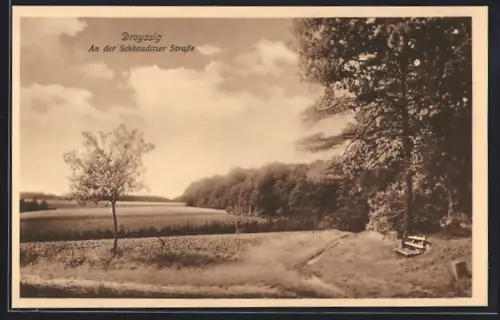 AK Droyssig, Landschaftspartie an der Schkauditzer Strasse