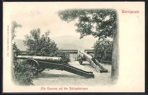 AK Wernigerode im Harz, alte Kanonen auf der Schlossterrasse