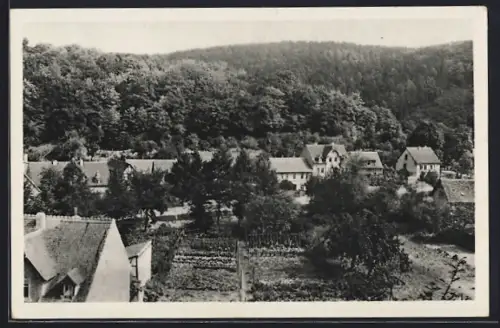 AK Rastenberg /Thür., Teilansicht mit Waldhintergrund