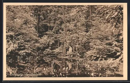 AK Droyssig, Mann am Forellenteich