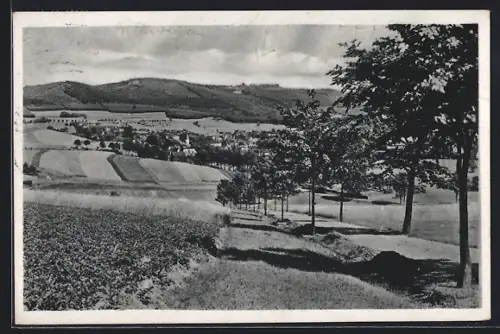 AK Erlbach i. Vogtl., Ortspartie am Hohen Stein