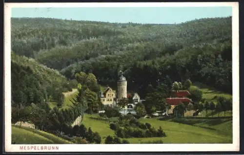 AK Mespelbrunn, Sicht auf das Schloss, Wald im Hintergrund