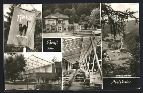 AK Ilfeld, Gasthaus Netzkater, Aussenansicht und Terrasse, Dreitälerblick