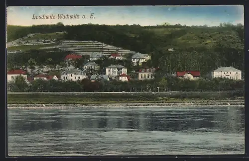 AK Dresden-Wachwitz, Teilansicht von der Elbe