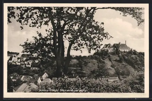 AK Dohna /Sachs., Blick aus dem Grünen zur Burg