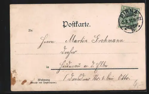 AK Pirna, Gesamtansicht mit Dampfer auf der Elbe