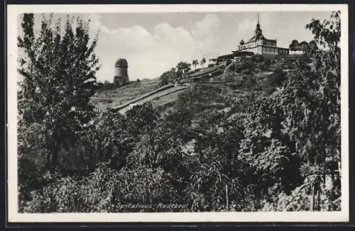 AK Radebeul, Spitzhaus aus dem Grünen