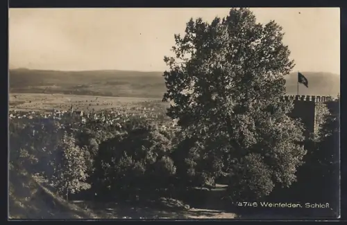 AK Weinfelden, Blick auf das Schloss mit Umland
