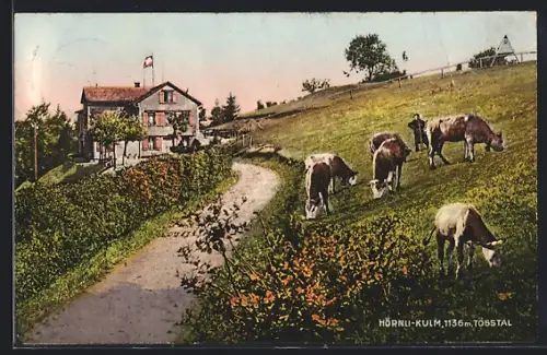 AK Hörnli-Kulm, Kühe auf der Weide am Gasthaus im Tösstal