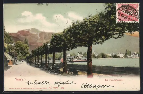 AK Vevey, La Promenade