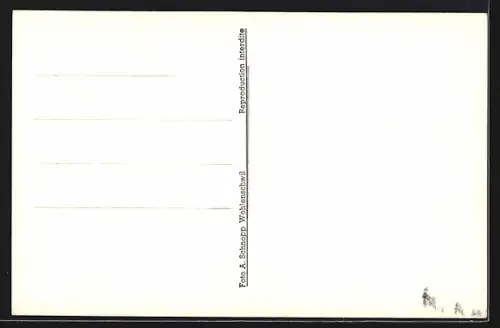 AK Wohlenschwil-Bübikon, Uferpartie mit Brücke