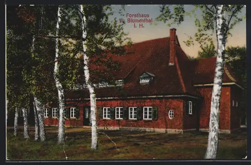 AK Blumenthal i. H., Forsthaus mit Birken