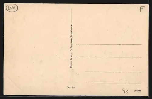 AK Clervaux, Sanatorium avec une allée du jardin