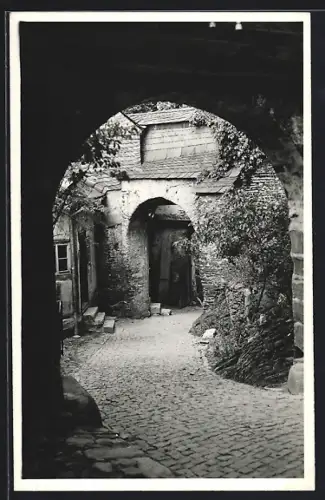 Foto-AK Leutenberg / Thür., Burgpartie