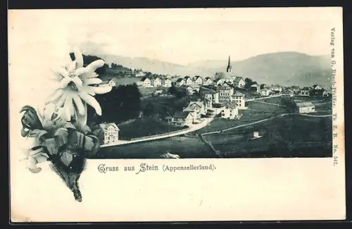 AK Stein /Appenzellerland, Gesamtansicht mit Strasse und Bergpanorama, Edelweiss