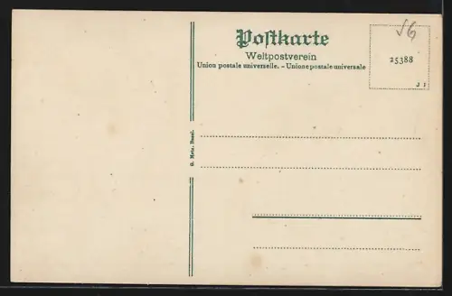 AK Rapperswil, Rathausplatz mit Restaurant Freihof u. Schloss aus der Vogelschau