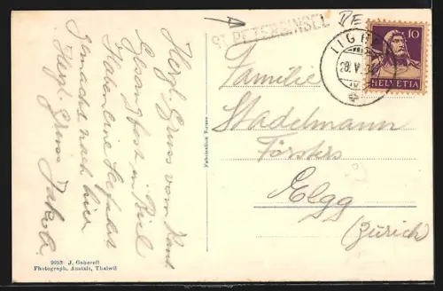 AK Ligerz /Bielersee, Ortsansicht und Petersinsel aus der Vogelschau