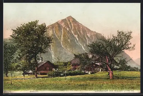 AK Aeschi, Landschaft mit Niesen