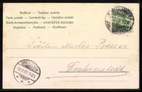 AK Heidelberg, I möcht immer in Heidelberg bleiben, Student und Kellnerin im Weingarten mit Stadtblick