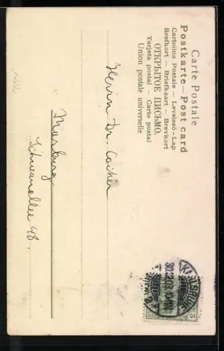 Künstler-AK Alfred Mailick: Weisse Lilien auf einem Berg